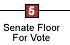 Senate Floor for Vote